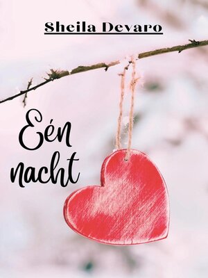 cover image of Eén nacht